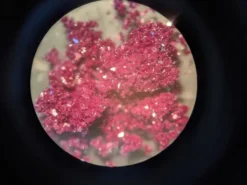 Ацетилацетонат хрома