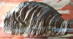 Европий металл