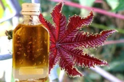 Касторовое масло Экотек для косметики и фармацевтики