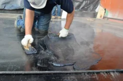 Мастика Вишера