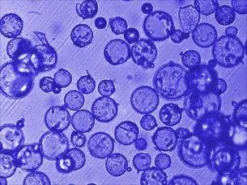 Микросферы стеклянные полые