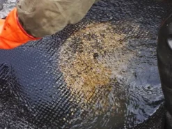 Ковер дражный №366