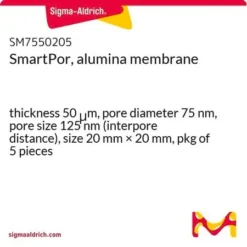 Мембрана Al₂O₃ SmartPor 20x20 мм, 75 нм, 5 шт