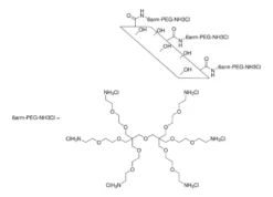 Оксид графена для биоконъюгации с 6-ветвевым ПЭГ амином
