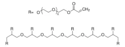 8-лучевой полиэтиленгликоль-акрилат (средняя молекулярная масса 10000)