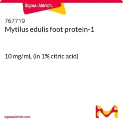 Mytilus edulis foot protein-1 (MEFP-1)