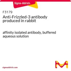 Полиэфирсульфон (ПЭС) гранулы 3 мм 2000 г: Термостойкие для мембран и медицины | ЭкоТек