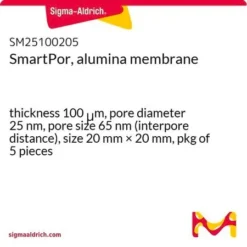Мембрана SmartPor Al₂O₃ 25нм/65нм 20x20мм
