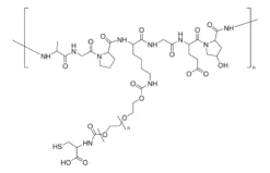 Модифицированный бычий желатин типа B-PEG-Cys