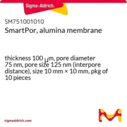 Мембрана SmartPor Al₂O₃ 10х10 мм, 75 нм, 100 мкм (10 шт.)