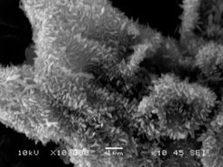 Композит восстановленного оксида графена и пиромеллитового диангидрида (PMDA) для аккумуляторов