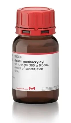 Метакрилоилжелатин (GelMa)