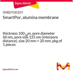 Мембрана SmartPor Al₂O₃ 60 нм, 125 нм интерпор, 20×20 мм