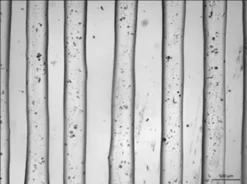 Биочернила TissueFab® (GelHAHep)MA