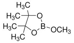 2-Метокси-4,4,5,5-тетраметил-1,3,2-диоксаборолан