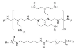 Разветвленный полиэтиленимин-графт-полиэтиленгликоль (ПЭИ-g-ПЭГ)