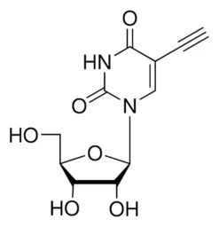 5-Этинилuridin