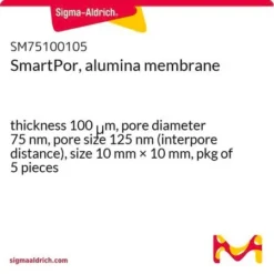 Мембрана SmartPor Al₂O₃ 10х10 мм, 75 нм