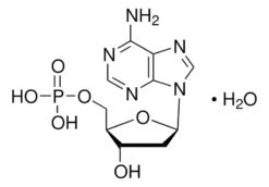 2'-Дезоксиаденозин 5'-монофосфат моногидрат