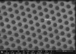 Мембрана алюмооксидная SmartPor 50 мкм, поры 75 нм, 10х10 мм