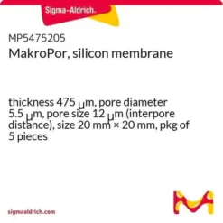 Мембрана кремниевая макропористая 20x20 мм, 5.5 мкм поры (5 шт)