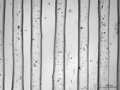 Биочернила TissueFab® на основе желатина метакрилоила (GelMA)