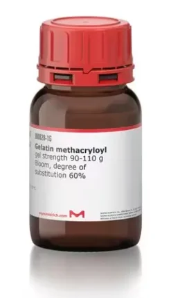 Метакрилоилатный желатин (GelMA)