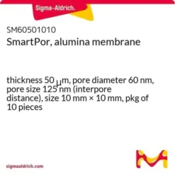 Мембрана SmartPor Al₂O₃ 60нм 10х10 мм (50 мкм)