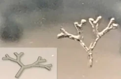 Биочернила TissueFab® на основе гепарина и метакрилоила желатина