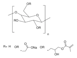Карбоксиметилцеллюлоза глицидилметакрилат