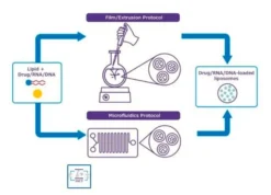 Липидная смесь PEG-RGD для синтеза таргетированных липосом