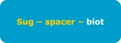 N-Ацетилглюкозамин-4-сульфат-β-C2-биотин
