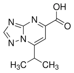 7-Изопропил-[1,2,4]триазоло[1,5-a]пиримидин-5-карбоновая кислота