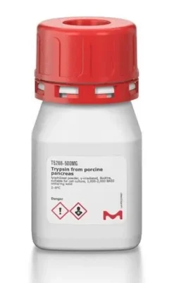 Трипсин из поджелудочной железы свиньи