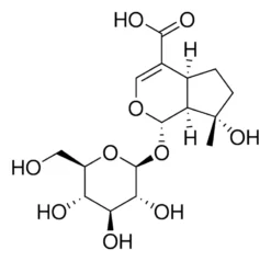 Мусзенозидная кислота