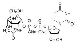 Уридиндифосфо-а-N-ацетил-D-глюкозамин-15N, динатриевая соль