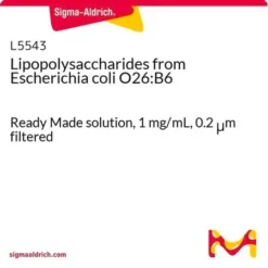 Липополисахариды E. coli O26:B6 раствор 1мг/мл (фильтр. 0,2мкм) для иммунологии