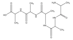 Пентааланин
