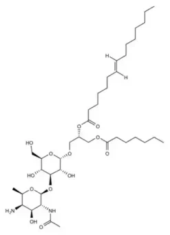 Липотейхоевая кислота из Bacillus subtilis
