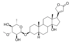 Нериифолин