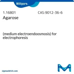 Агароза MediumEEO Gel: разделение ДНК/РНК 10-1500 п.н.