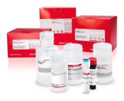 Набор для определения триптофана (Tryptophan Assay Kit)