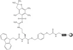 Fmoc-Arg(Pbf)-NovaSyn TGA