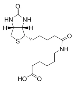 N-(+)-Биотинил-6-аминогексановая кислота