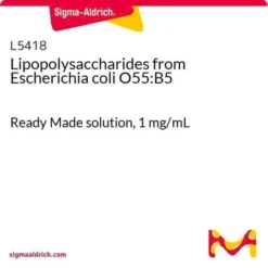 ЛПС E.coli O55:B5 (1 мг/мл) для иммунологии