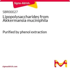 Липополисахариды Akkermansia muciniphila