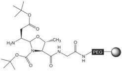 H-Asp(OtBu)-H на NovaSyn® TG смоле