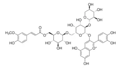 Цианидин-3-O-[β-D-Ксилопиранозил-(1,2)-[(4-гидрокси-3-метоксициннамоил)-(6)-β-D-глюкопиранозил-(1,6)]-β-D-галактопиранозид]