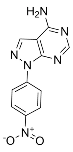 1-(4-Нитрoфeнил)-1H-пиразоло[3,4-d]пиримидин-4-амин