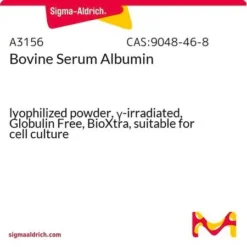 Бычий сывороточный альбумин